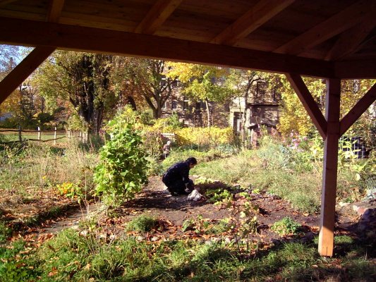 Blick auf den Garten aus dem Pavillon