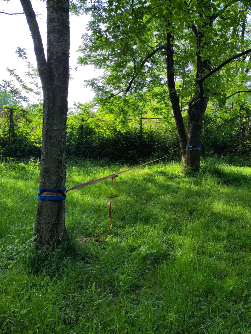 Slackline