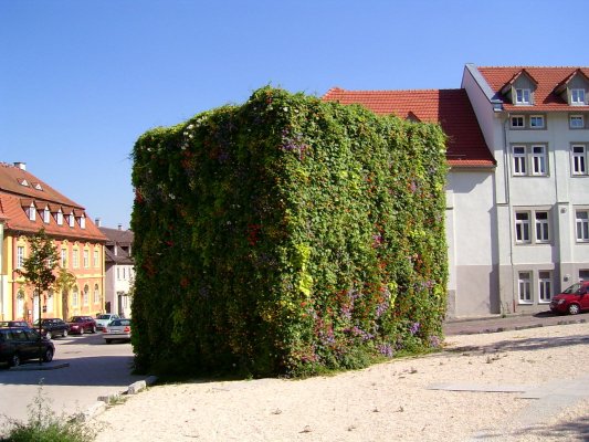 Grüner Würfel in LuBu